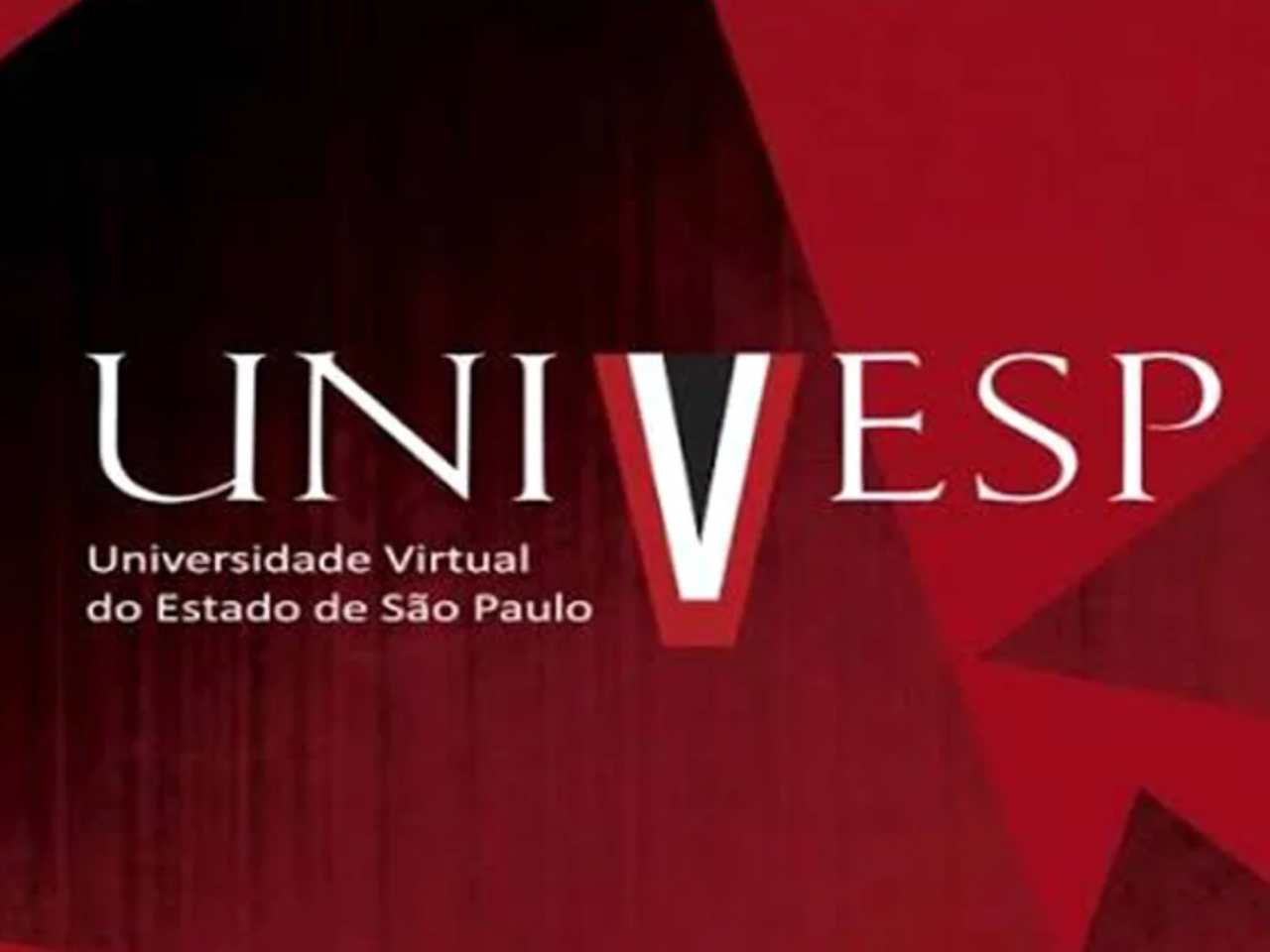 Universidade Virtual do Estado de São Paulo: Conheça a Univesp e Seu Funcionamento