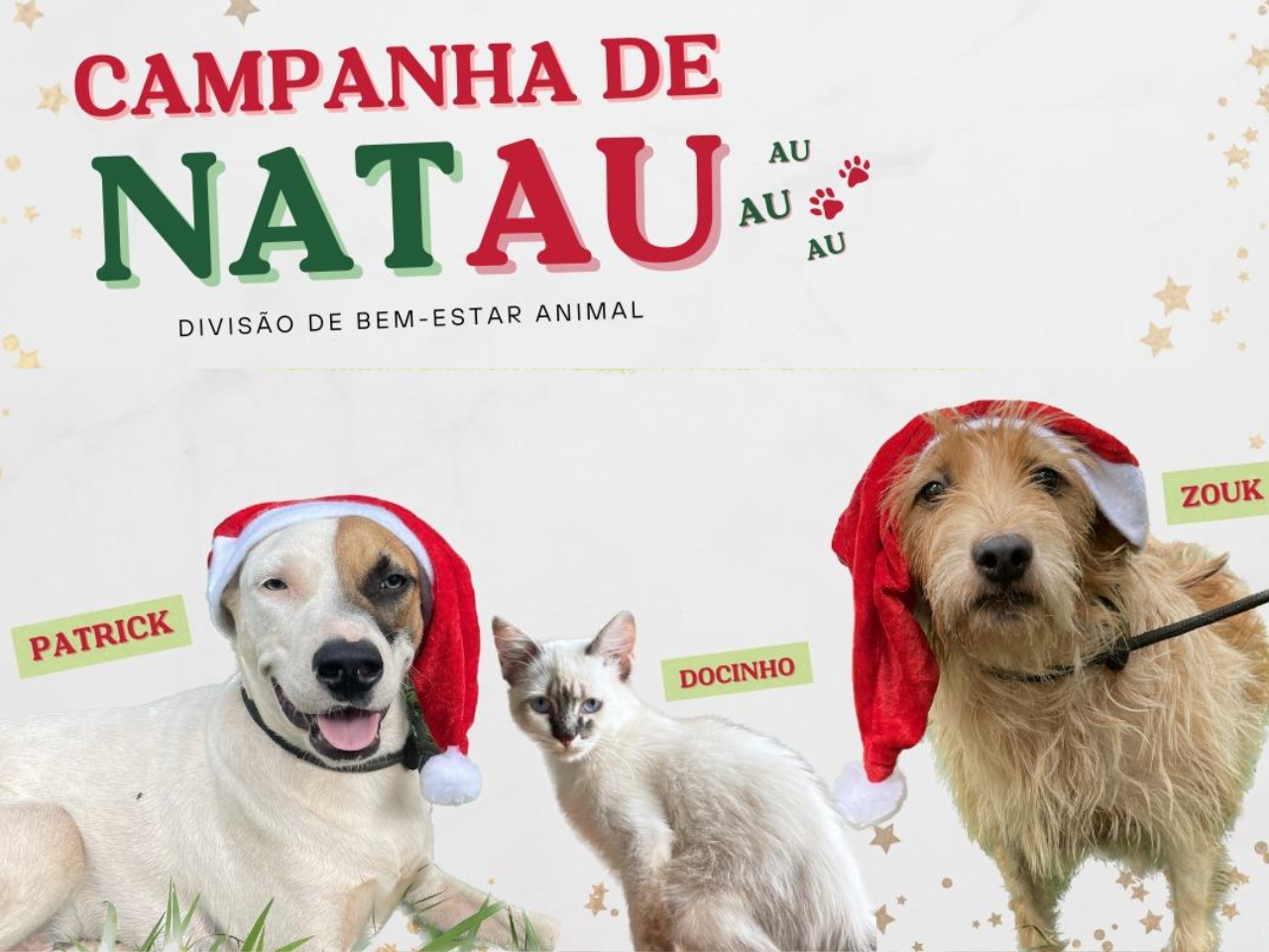 Ribeirão Preto Oferece Mais de 150 Cães e Gatos para Adoção na “Campanha de NatAU” da DBEA