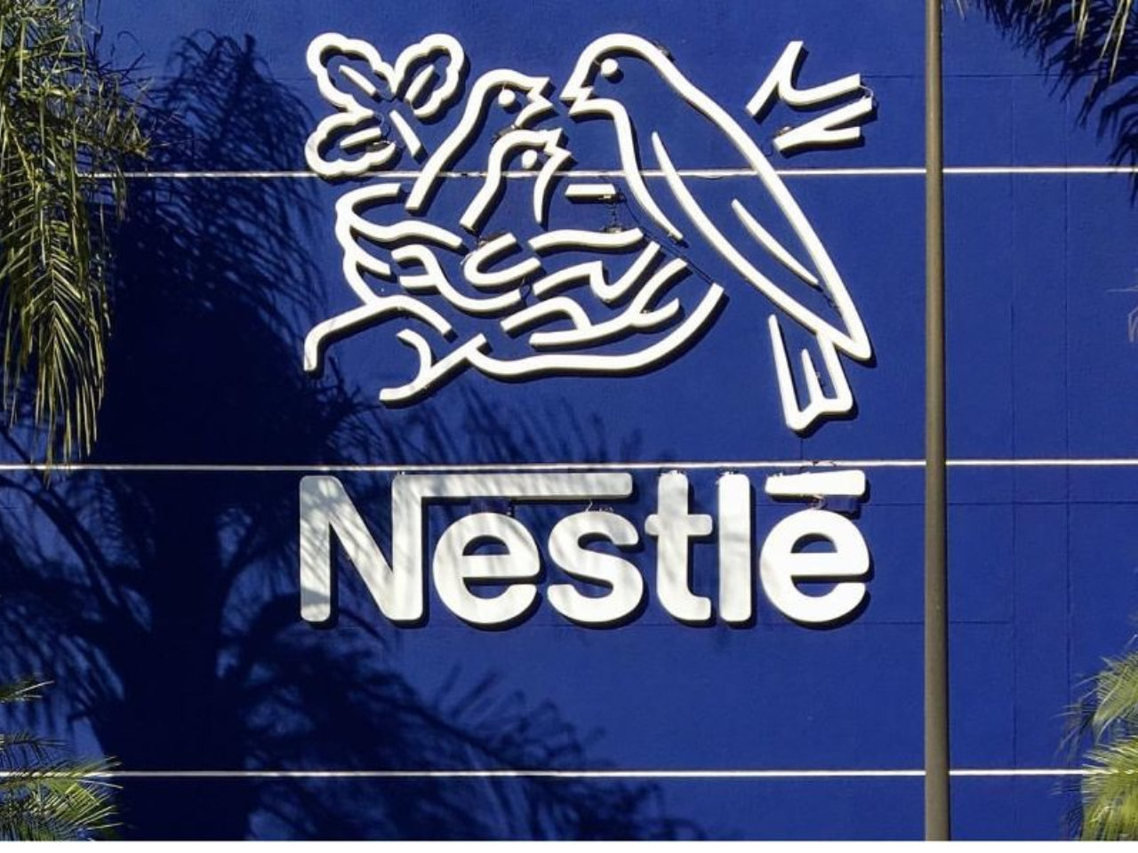 Nestlé Ribeirão Preto Contrata Assistente de Contas a Receber – Order to Cash